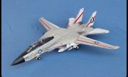 Grumman F-14A Tomcat 1:48