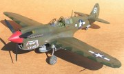 Curtiss P-40N-5 Warhawk 1:32