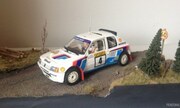 Peugeot 205 Turbo 16 1:24