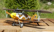 Albatros D.III 1:48