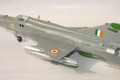 MiG-21 Bison, Indian Air Force 1:72