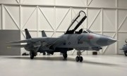 Grumman F-14A+ Tomcat 1:48