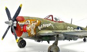 Republic P-47D Thunderbolt 1:48