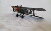 LFG Roland C.IIa Walfisch 1:48