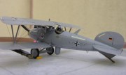 Albatros D.MM (Albatros 2000) 1:48