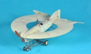 Lee Richards Annular Monoplane III  1:72