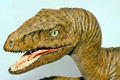 Velociraptor 1:6