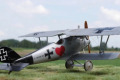 Pfalz D.III 1:48