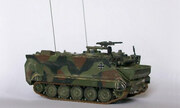 M113G FltPzMrs 1:87