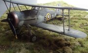 Gloster Sea Gladiator 1:48