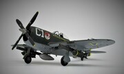 Republic P-47 Thunderbolt 1:48