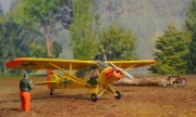 Piper L-18C Super Cub 1:72