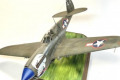 Curtiss P-40N Warhawk 1:32