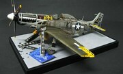 North American P-51D Mustang 1:24