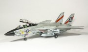 Grumman F-14A Tomcat 1:48