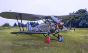 Bristol Bulldog 1:48