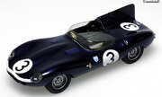 Jaguar D-type 1:43