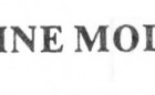 Flyline Models, Inc. Logo