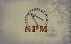 Studio Perfect Model Logo