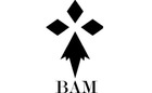 BAM48042-1