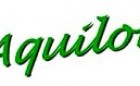 L`Aquilone Logo